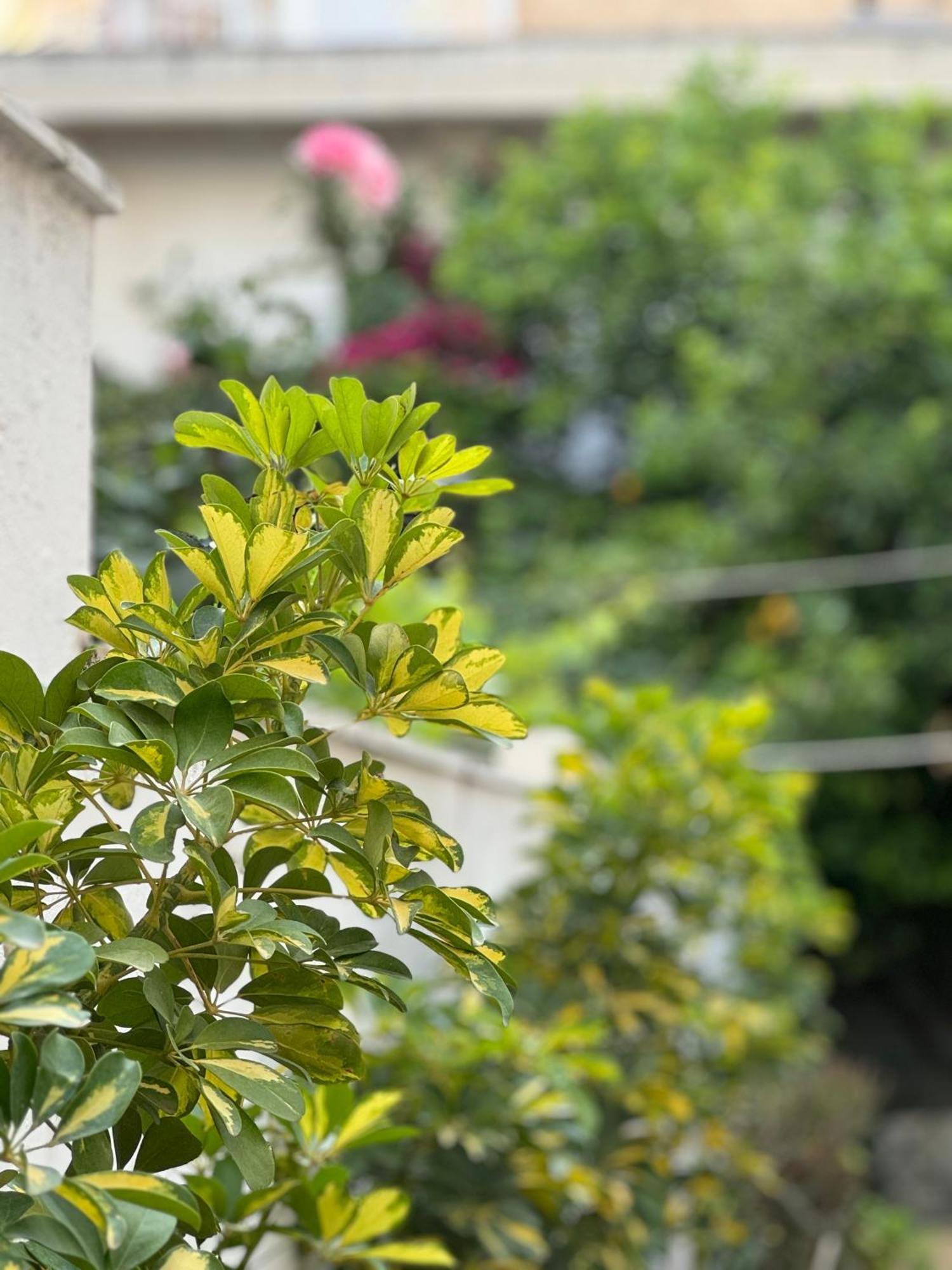 Μονοκατοικία «Maizonette Passaggio G» Volos Exterior photo